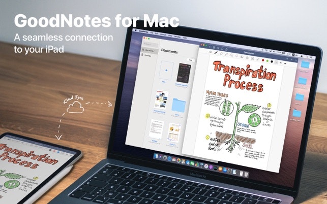 goodnotes 4 goodnotes 4