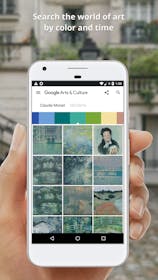 Google Arts & Culture Gallery Image #3