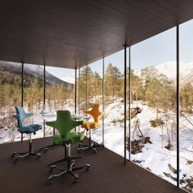 HÅG Capisco Gallery Image #6