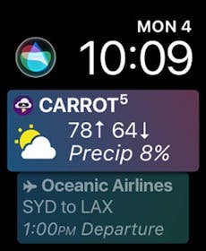 CARROT Weather Gallery Image #26
