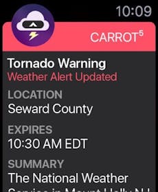 CARROT Weather Gallery Image #23