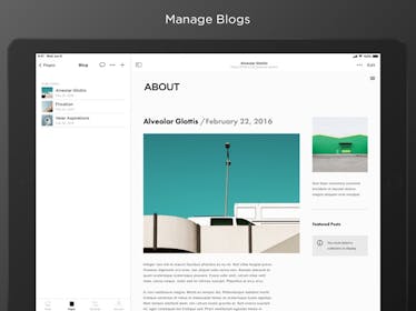 Squarespace Gallery Image #6