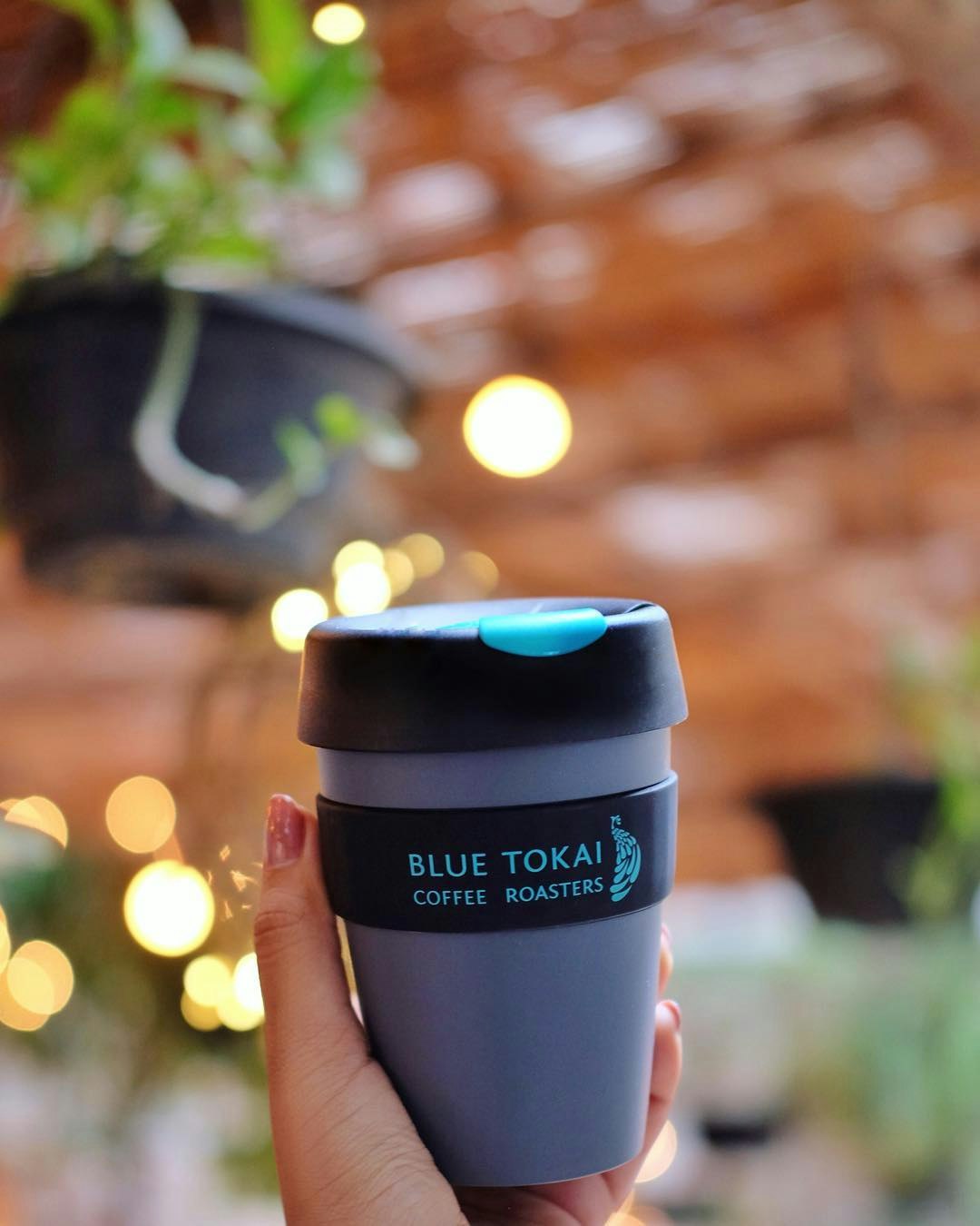 Blue Tokai Coffee Roasters YourStack