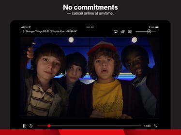 Netflix Gallery Image #7