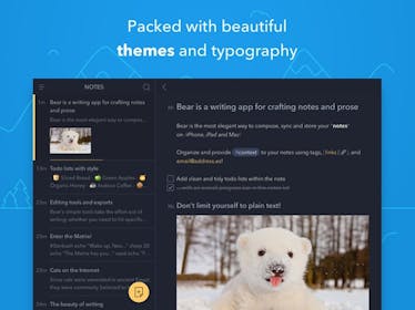 Bear Gallery Image #6