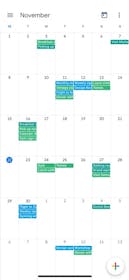 Google Calendar Gallery Image #4