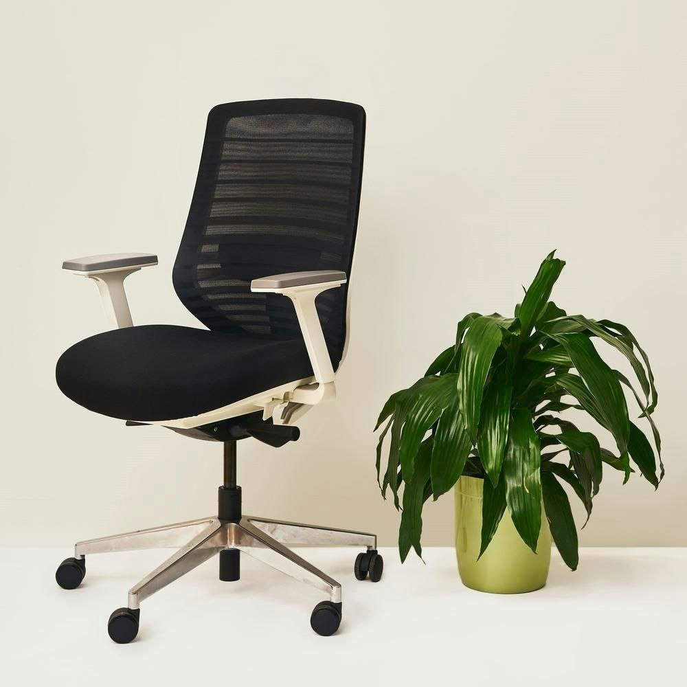 Branch Ergonomic chair YourStack