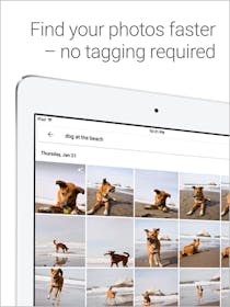 Google Photos Gallery Image #13