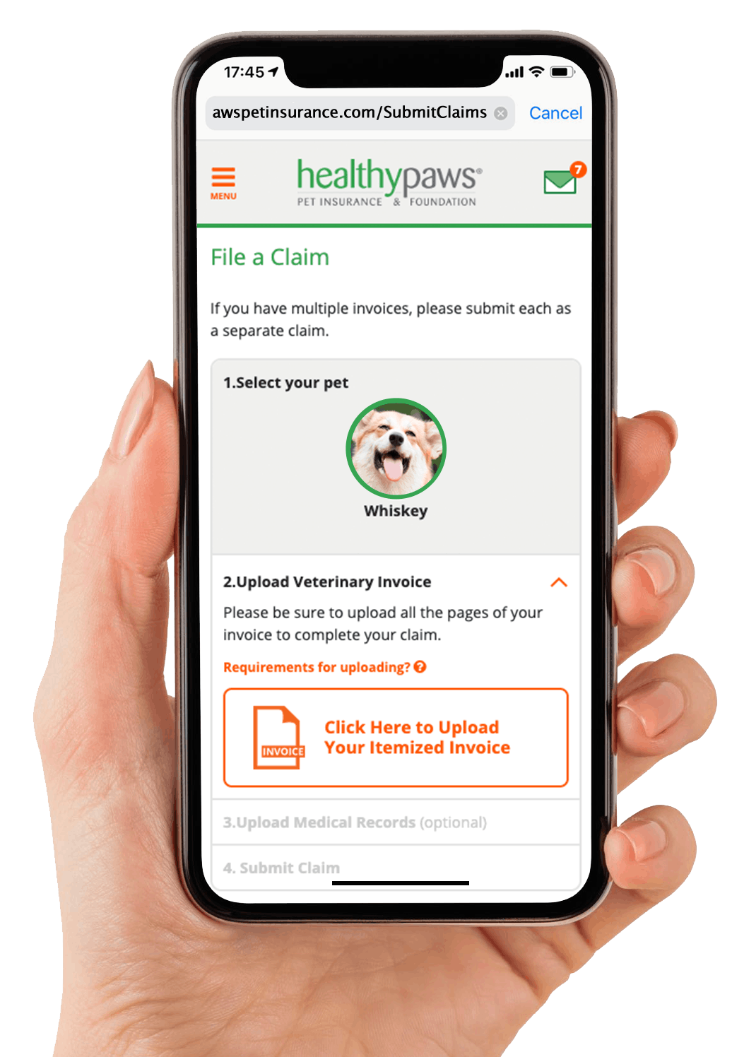 Healthy Paws YourStack