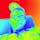 Siddarth K