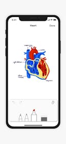 Zoho Notebook Gallery Image #3