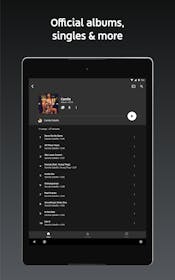 YouTube Music Gallery Image #5