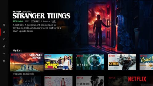 Netflix Gallery Image #2