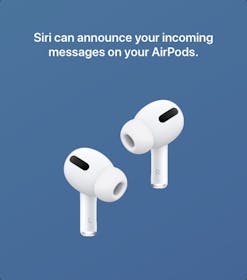 Siri Gallery Image #2