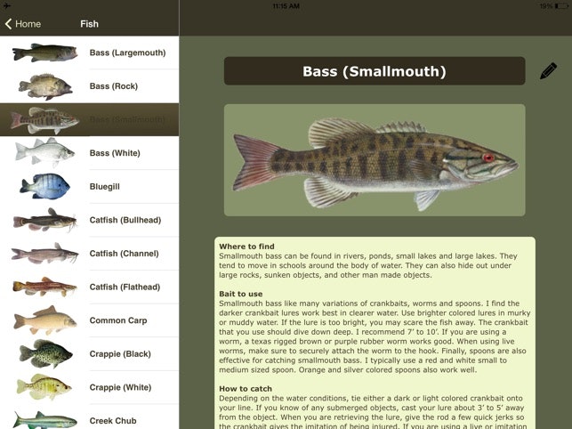 Freshwater Fishing Guide | YourStack