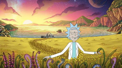 Rick And Morty Gallery Image #2